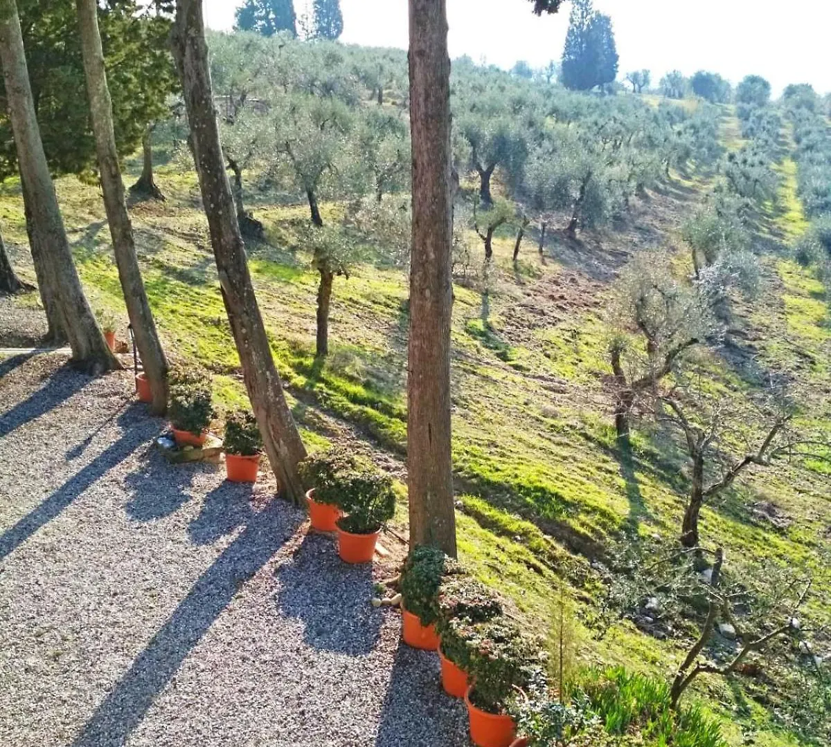 Brunello Wohnung In Martignana Marcignana Italy