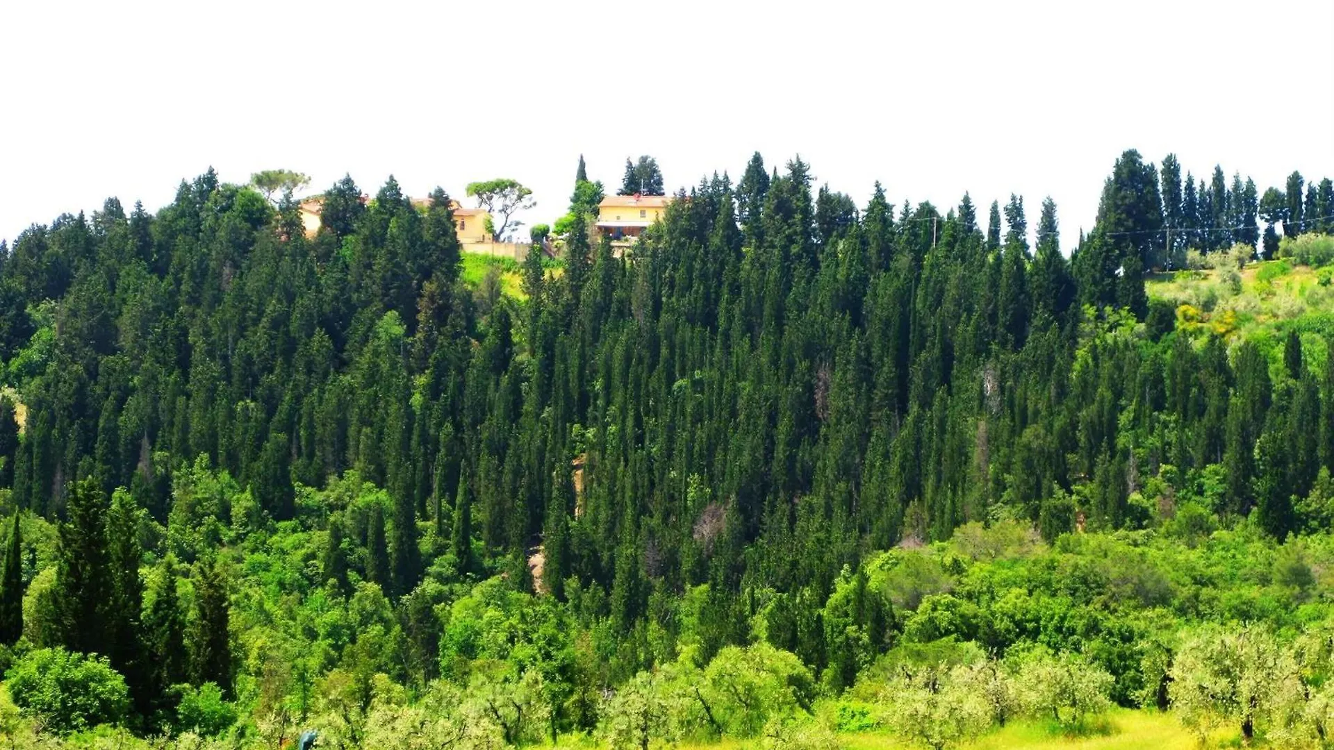 Apartment Brunello Wohnung In Martignana Marcignana